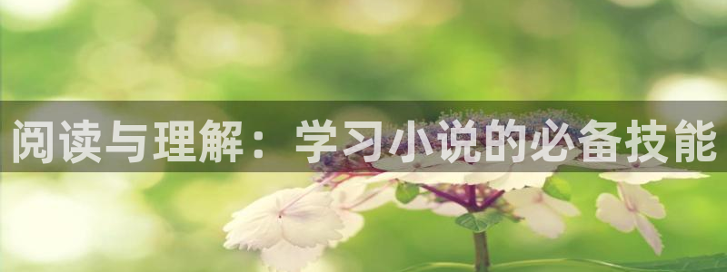 御宅屋(御书屋)自由小说阅读网