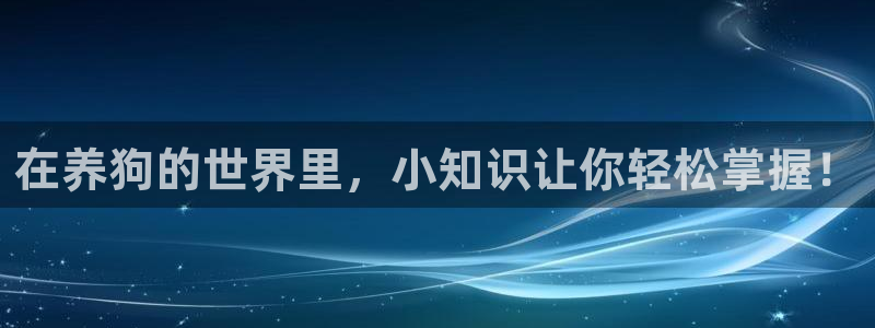海棠御书屋小说 小说